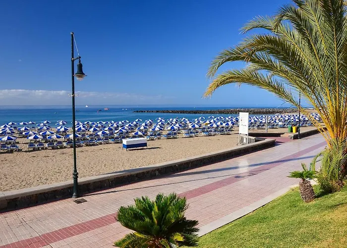 El Cardon Vistas - Tenesol * Playa de las Américas
